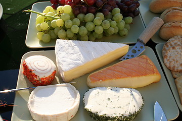 Image showing Cheese and grapes