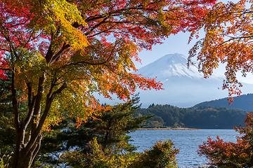 Image showing Mt.Fuji in autumn