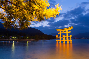 Image showing Torii in Itsukushima shine of Hiroshima Bay at night