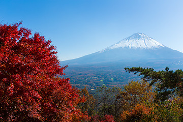 Image showing Mount Fuji and maple tree