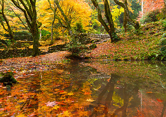 Image showing Japanese garden in autumn