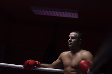 Image showing kick boxer resting on the ropes in the corner