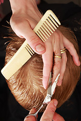 Image showing professional haircut