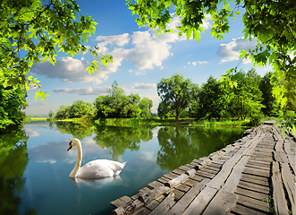 Image showing Bridge on the river