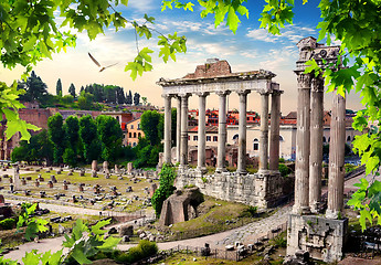 Image showing Roman Forum Italy