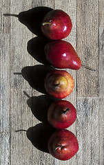 Image showing Pears in a row. Top view