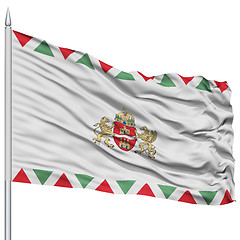 Image showing Budapest City Flag on Flagpole