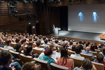 Image showing Business speaker giving a talk in conference hall.