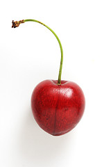 Image showing the single cherry