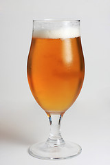 Image showing condensed beer