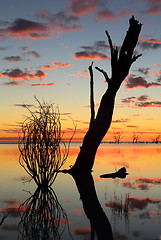 Image showing Sunset and silhouettes over the lake 