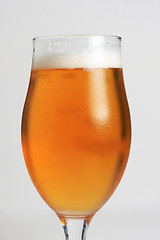 Image showing Icecold beer