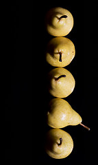 Image showing Pears in a row. Top view