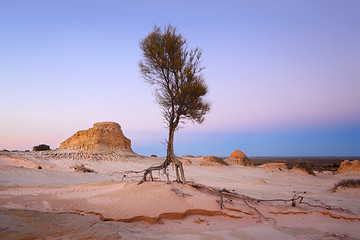 Image showing Searching for water arid landscape