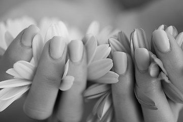 Image showing woman hands with manicure holding flower