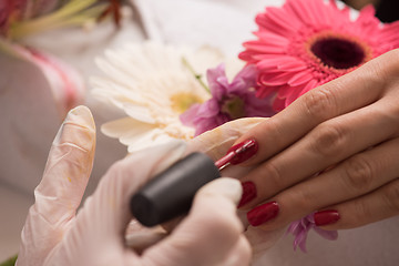 Image showing Woman hands receiving a manicure