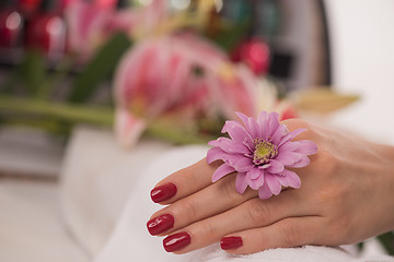 Image showing woman fingers with french manicure