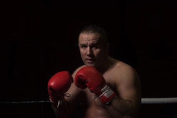 Image showing professional kickboxer in the training ring