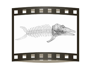 Image showing Fish bone icon. 3d illustration. The film strip.