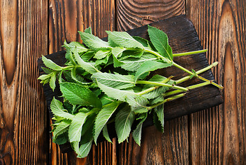 Image showing fresh mint