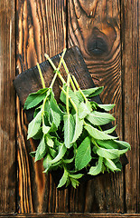 Image showing fresh mint