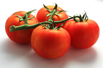 Image showing fresh red tomatoes