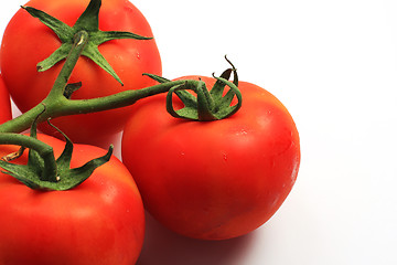 Image showing three tomatoes
