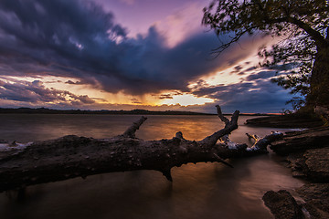 Image showing Landscape with sunset and snag