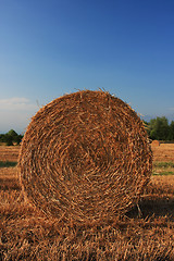 Image showing hay bale