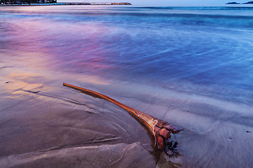 Image showing Sunrise over the sea