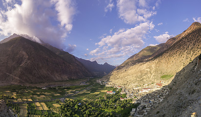Image showing Marpha village and apple gardens in Mustang