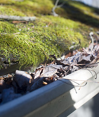 Image showing leaves in house gutter with moss on roof