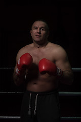 Image showing professional kickboxer in the training ring