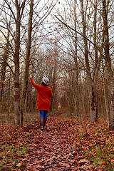 Image showing Woman walking down woodland path alone, touching trees