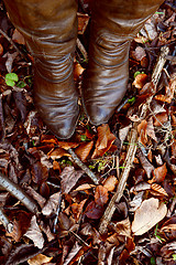 Image showing Woman\'s brown winter boots stand on dead fall leaves 