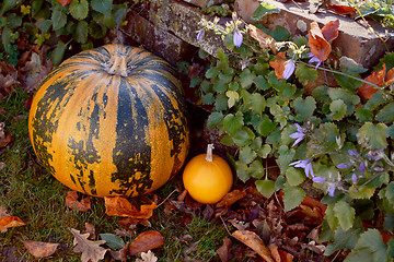 Image showing Large striped pumpkin with a small orange gourd 