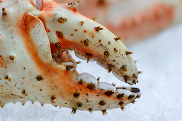 Image showing Fresh seafood in fish market