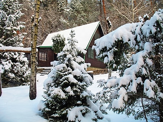 Image showing Chalet in winter