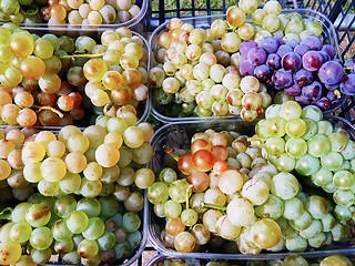 Image showing Grapes