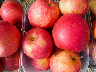 Image showing Apples