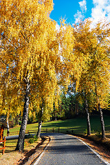 Image showing Autumn