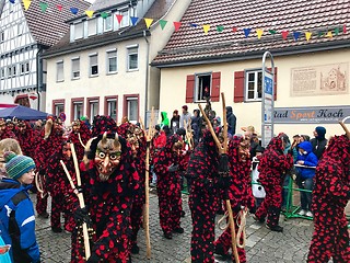 Image showing Traditional carnival in South Germany - Swabian-Alemannic Fastnacht. Witches costumes during the carnival procession.