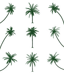 Image showing Green palm trees