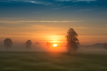 Image showing First rays of the sun over foggy field