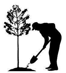 Image showing Man planting a tree