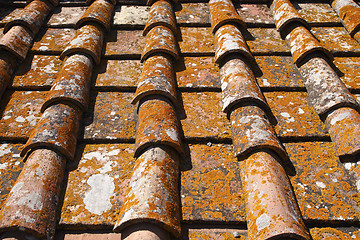Image showing detail of terracotta roof tiles