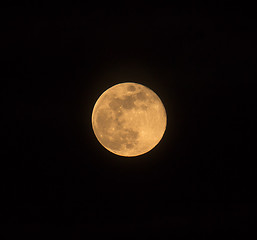 Image showing Blue Moon Rising