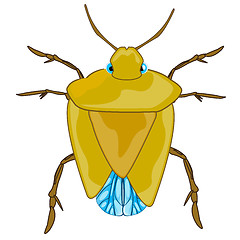 Image showing Bad insect bedbug