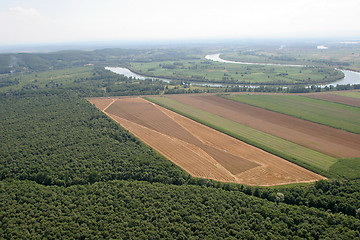 Image showing Aerial View: Golden Wheat field