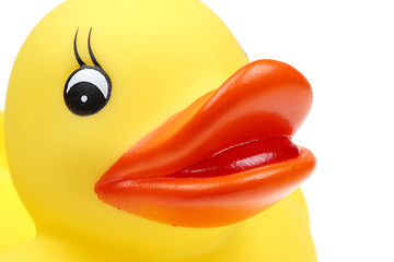 Image showing small yellow plastic duck